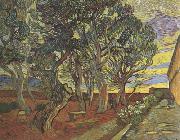 Vincent Van Gogh The Garden of Saint-Paul Hospital (nn04) Sweden oil painting artist